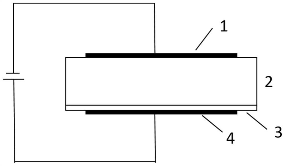 A kind of Schottky type perovskite photodetector and preparation method thereof