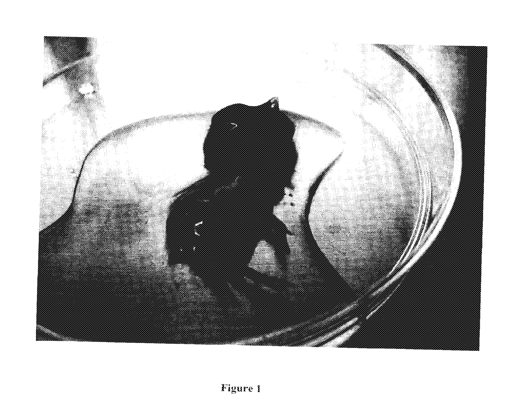 Fertilized egg isolate and uses thereof