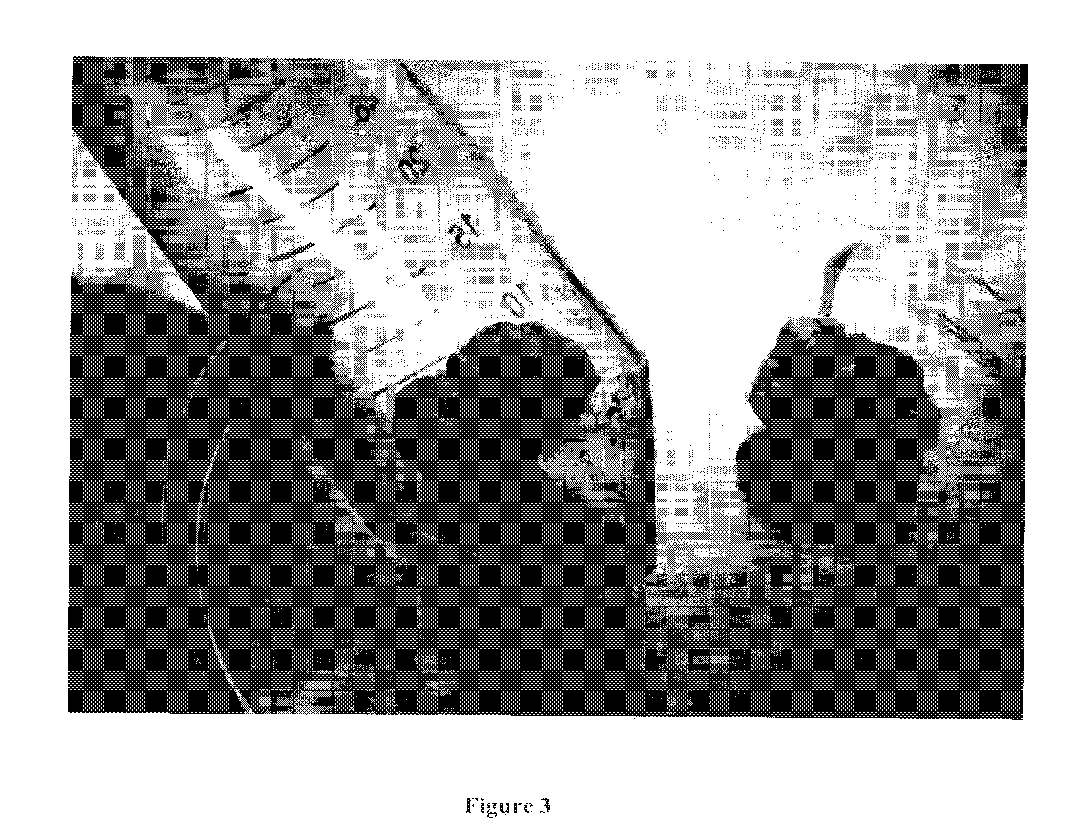 Fertilized egg isolate and uses thereof