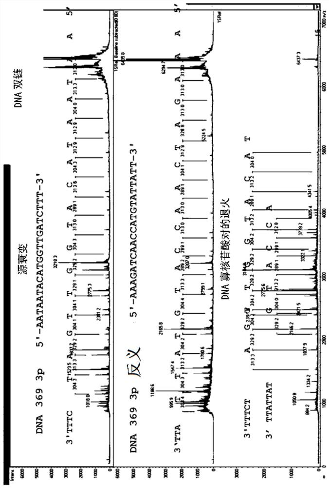 Analysis/diagnosis method utilizing RNA modification