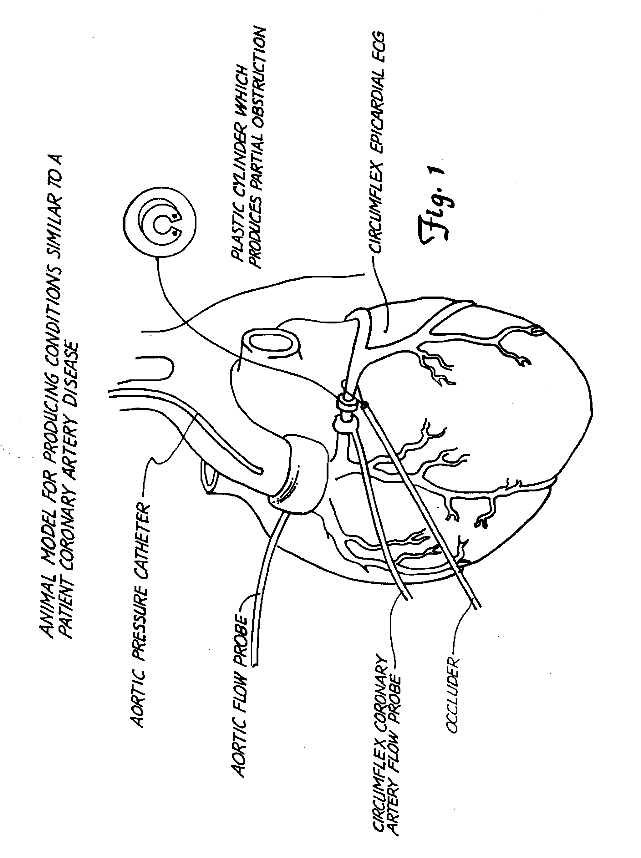 Dietary supplements containing natural ingredients