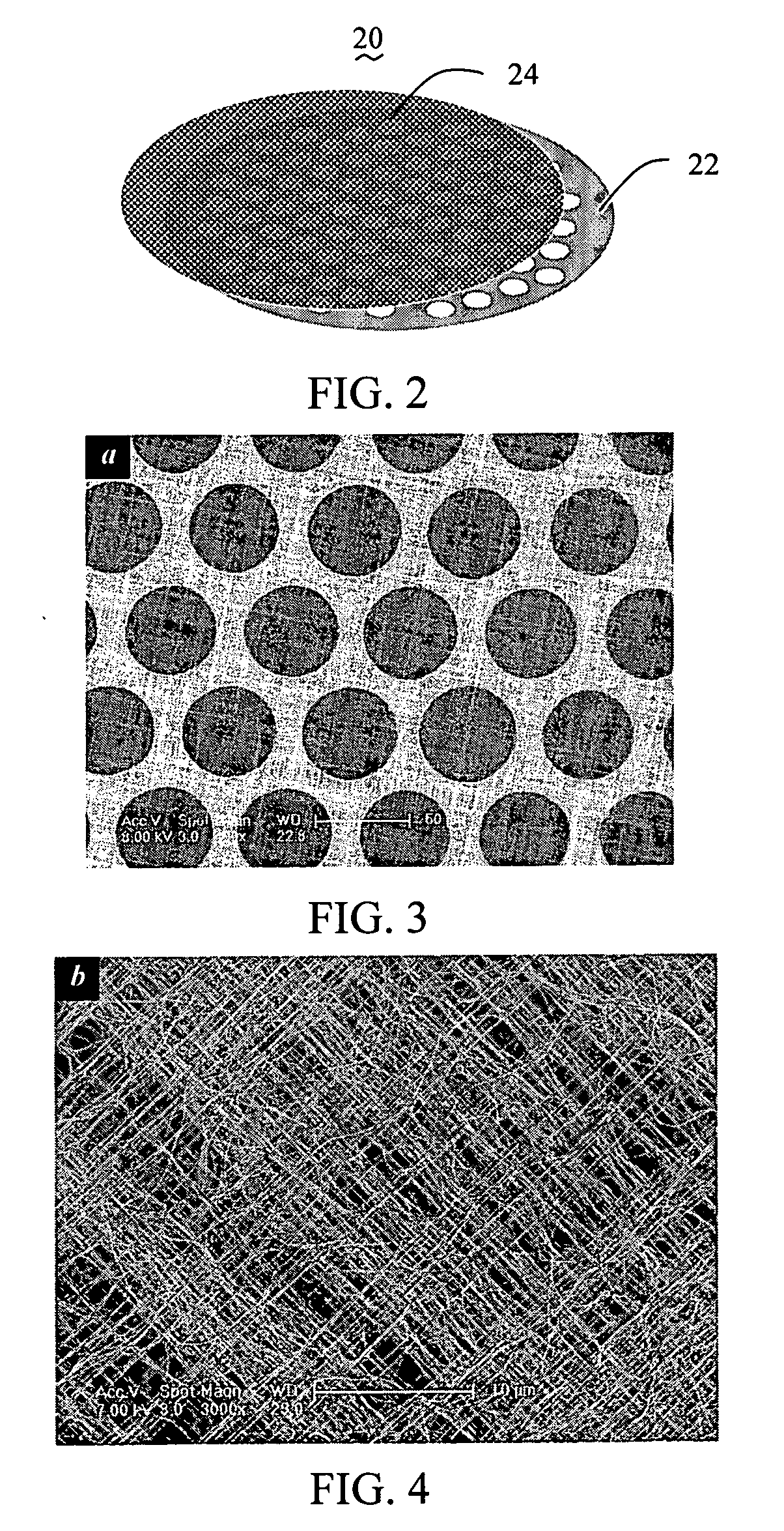 Transmission electron microscope micro-grid and method for making the same