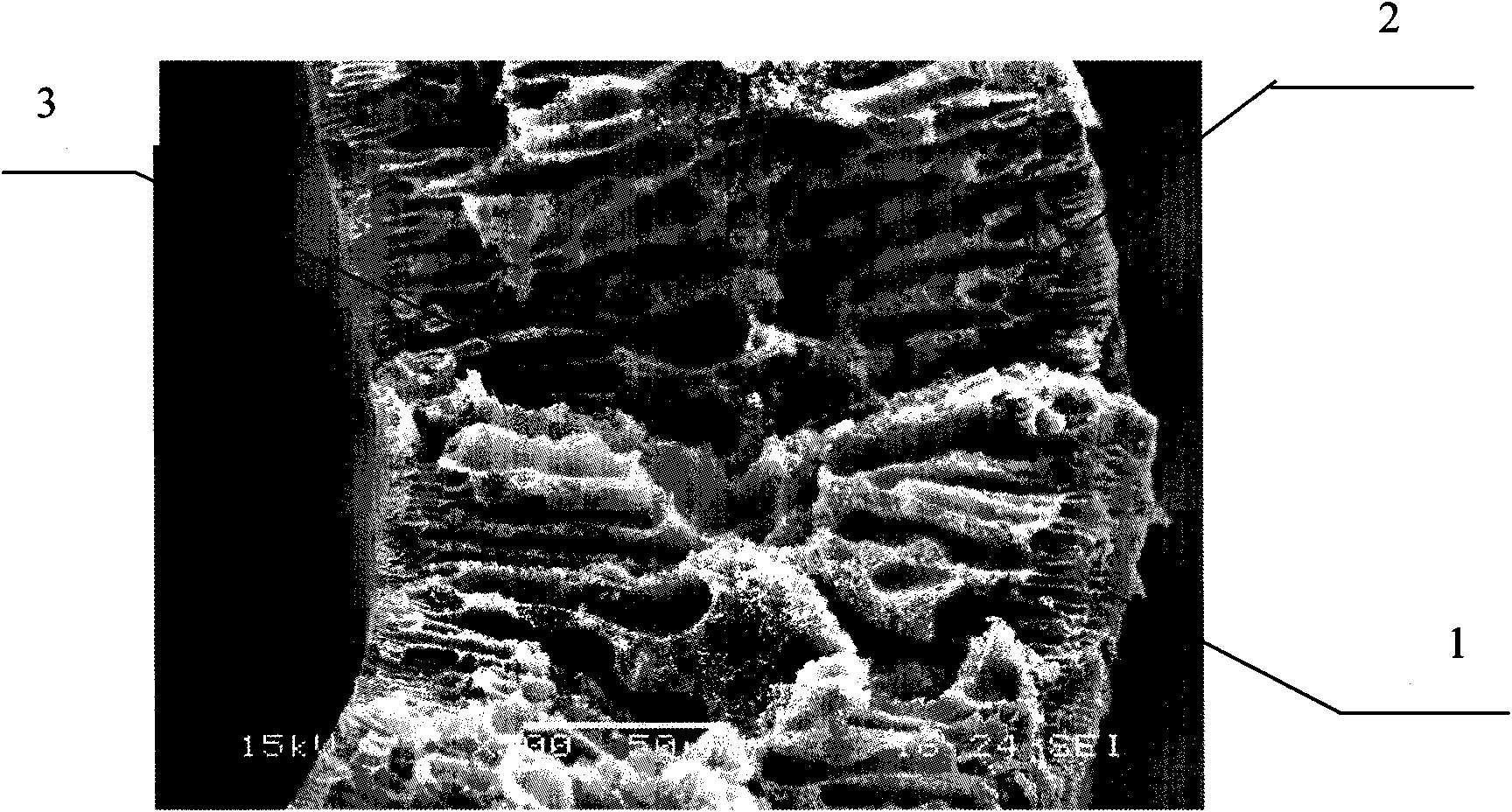 Activated carbon hollow fiber polysulfone membrane and preparation method thereof