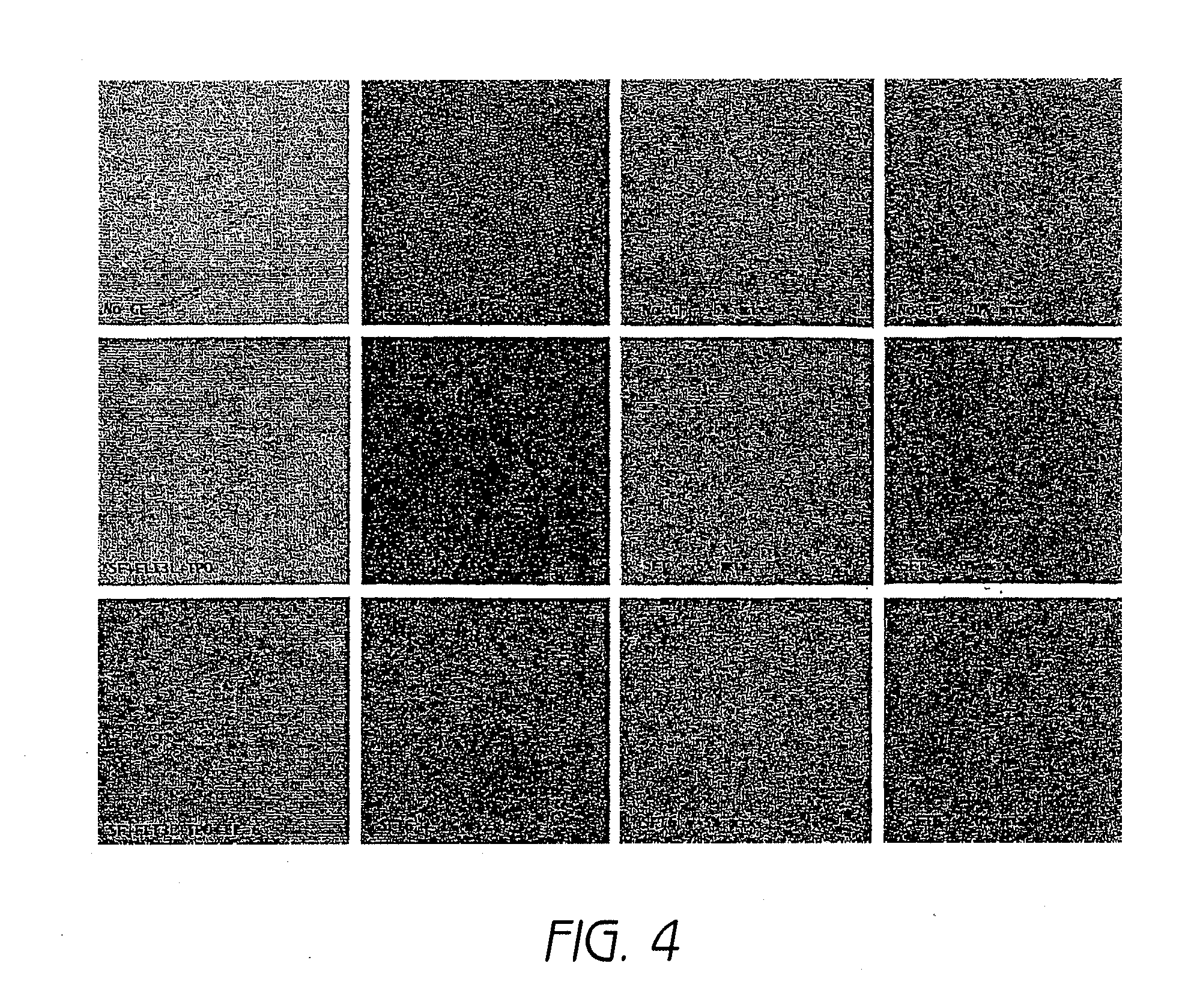 Method of culturing cells