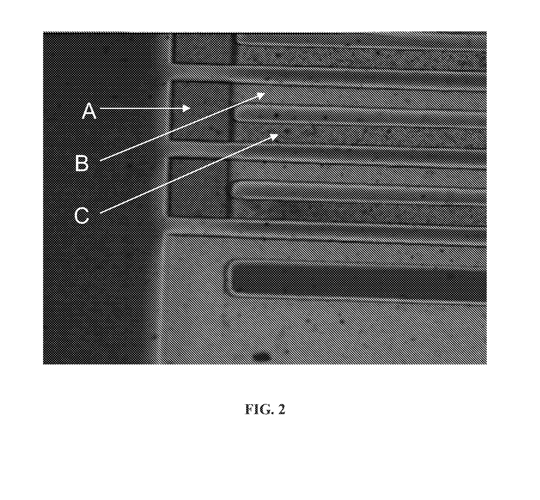 Thermoelectric method of sequencing nucleic acids