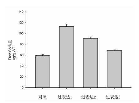 Rice disease resistance related gene, encoding protein thereof and preparation method for strain for improving rice broad spectrum disease resistance