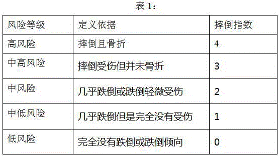 Falling risk model establishment method