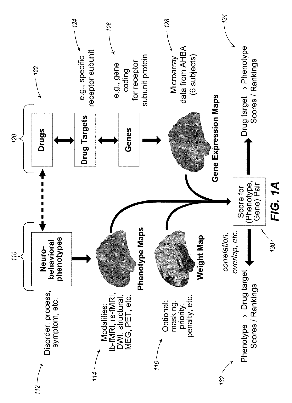 Methods and tools for detecting, diagnosing, predicting, prognosticating, or treating a neurobehavioral phenotype in a subject