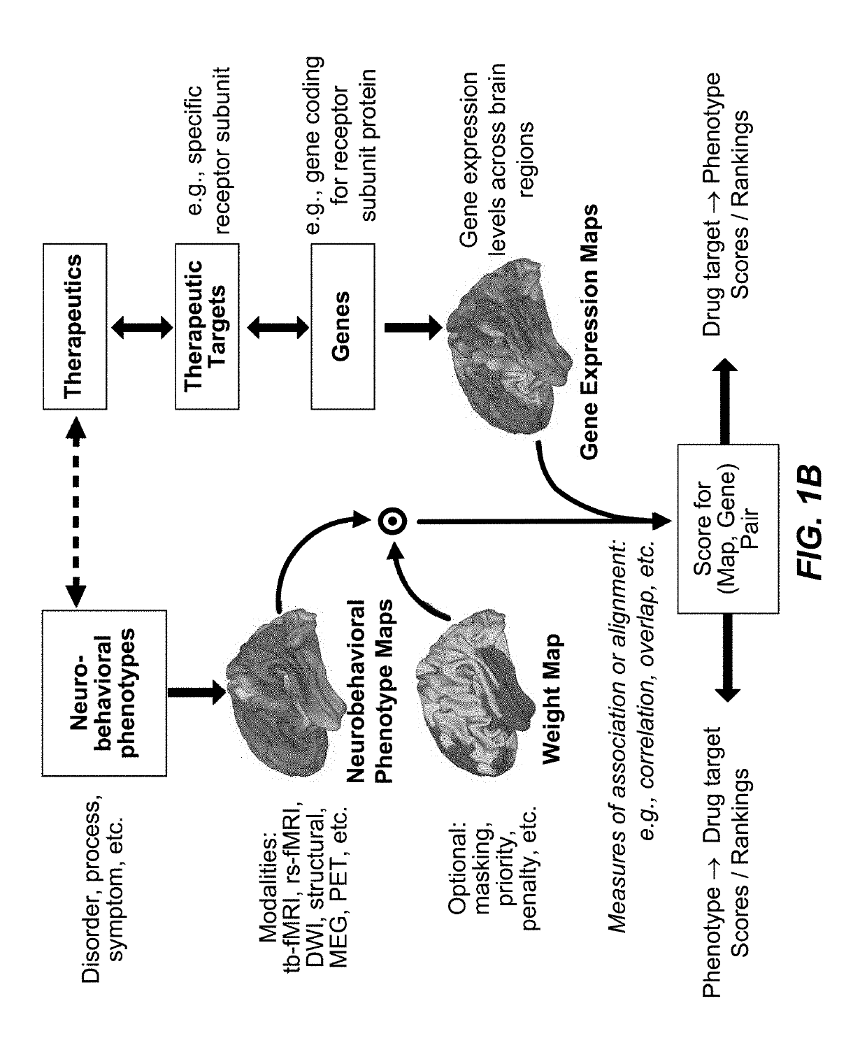 Methods and tools for detecting, diagnosing, predicting, prognosticating, or treating a neurobehavioral phenotype in a subject