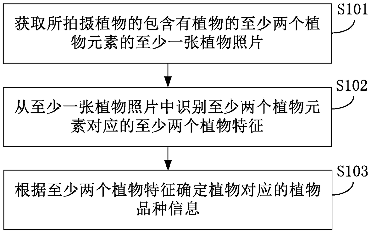 Plant variety identification method and device