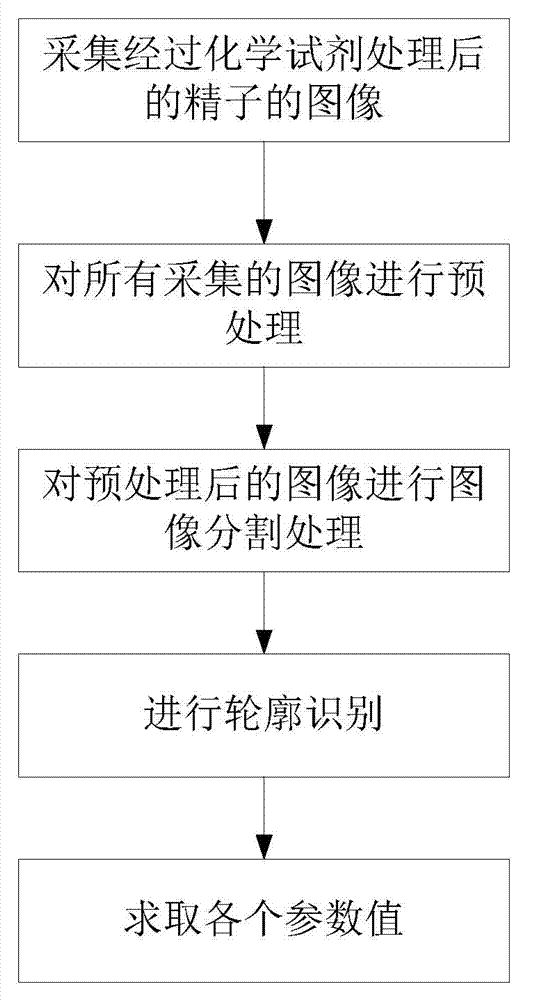 Sperm morphology anomaly detection method