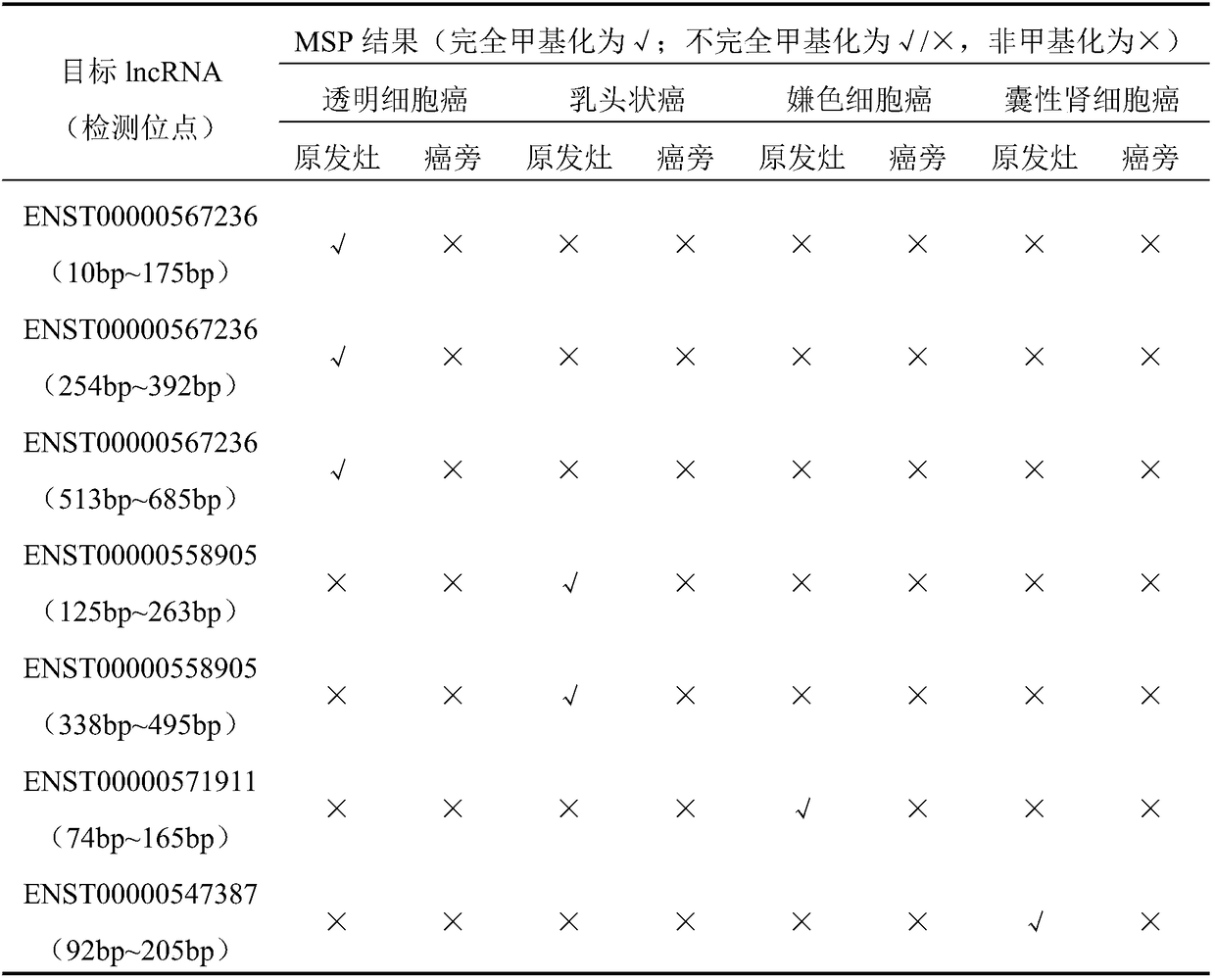 Gene detection kit for detecting chromophobe cell carcinoma subtype in renal carcinoma