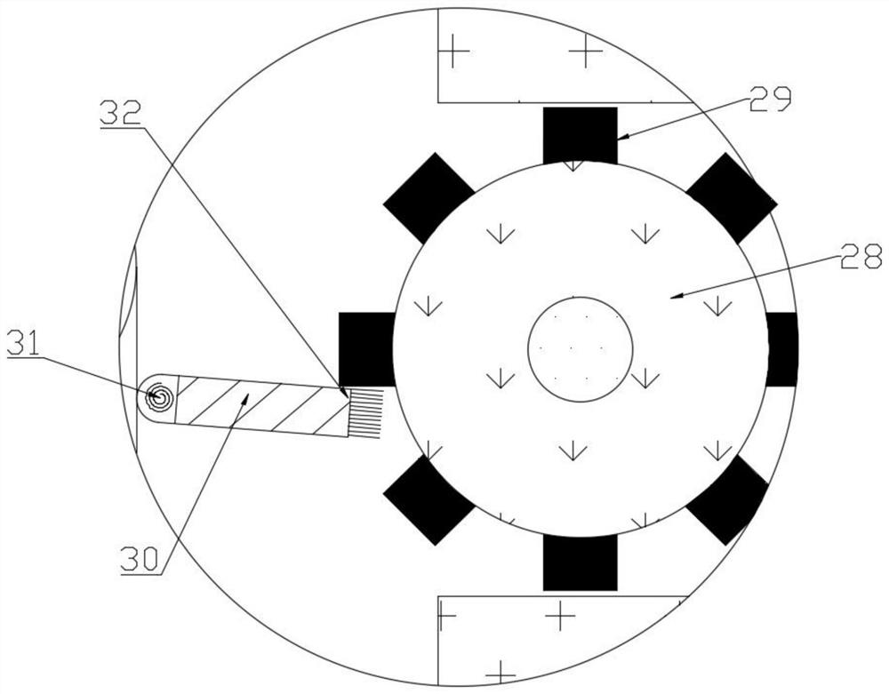 Agricultural soil detection sampling device