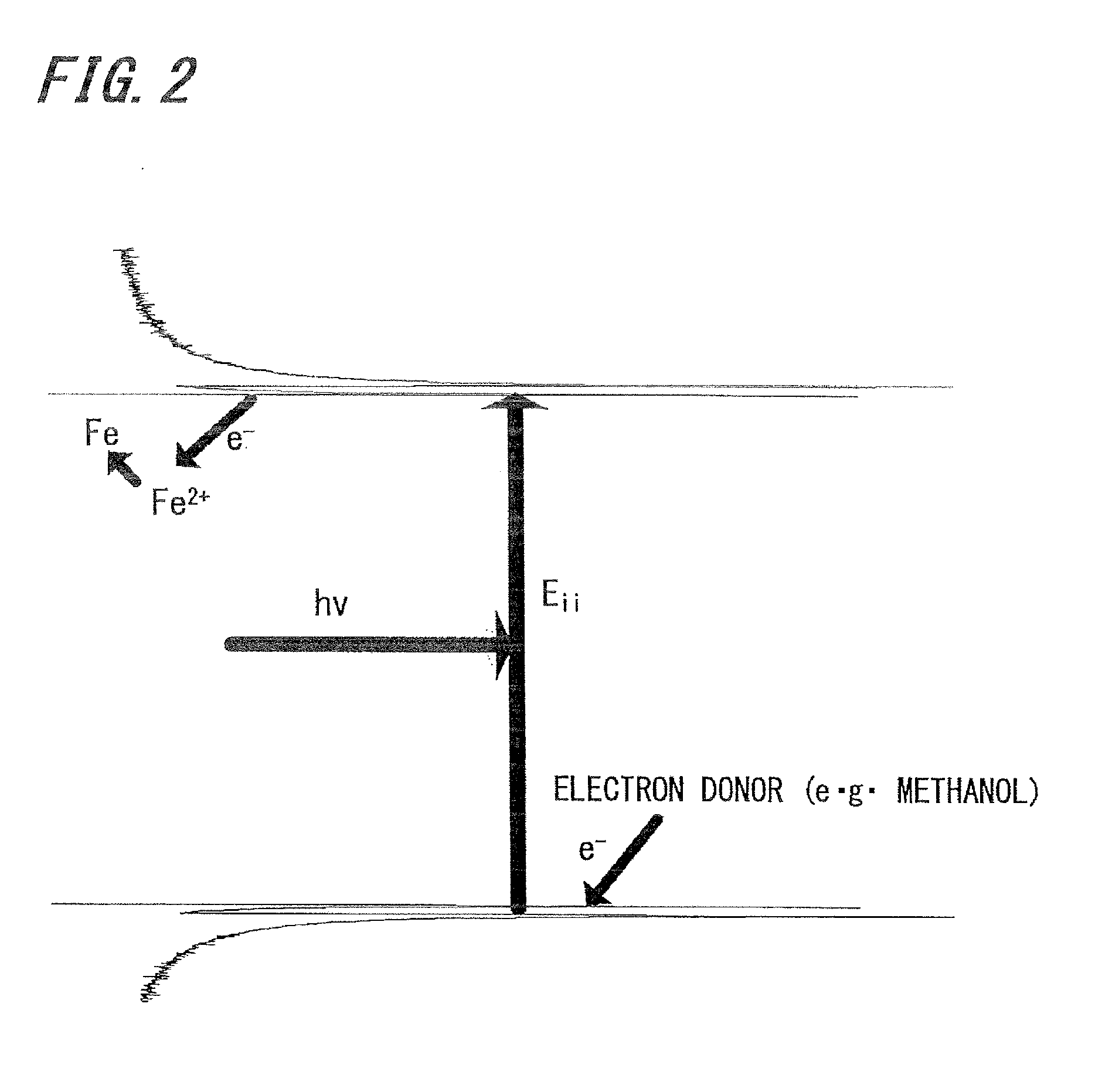 Carbon nanotube composition, method for  manufacturing the same, array, and electronic device