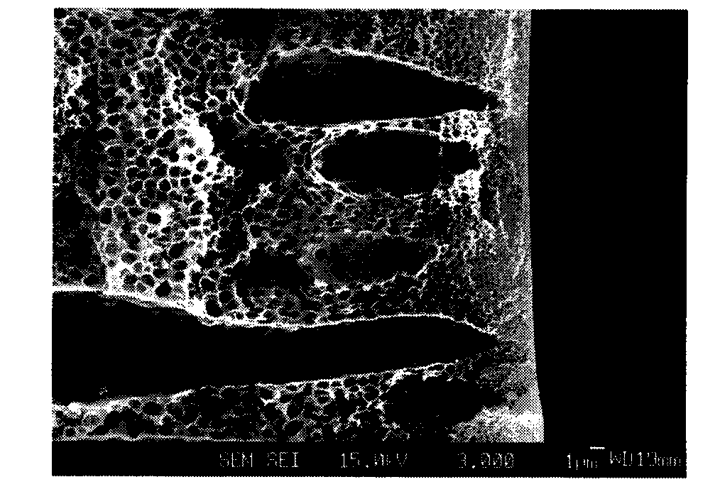 Hollow fiber, dope solution composition for forming a hollow fiber, and method for manufacturing a hollow fiber using the same