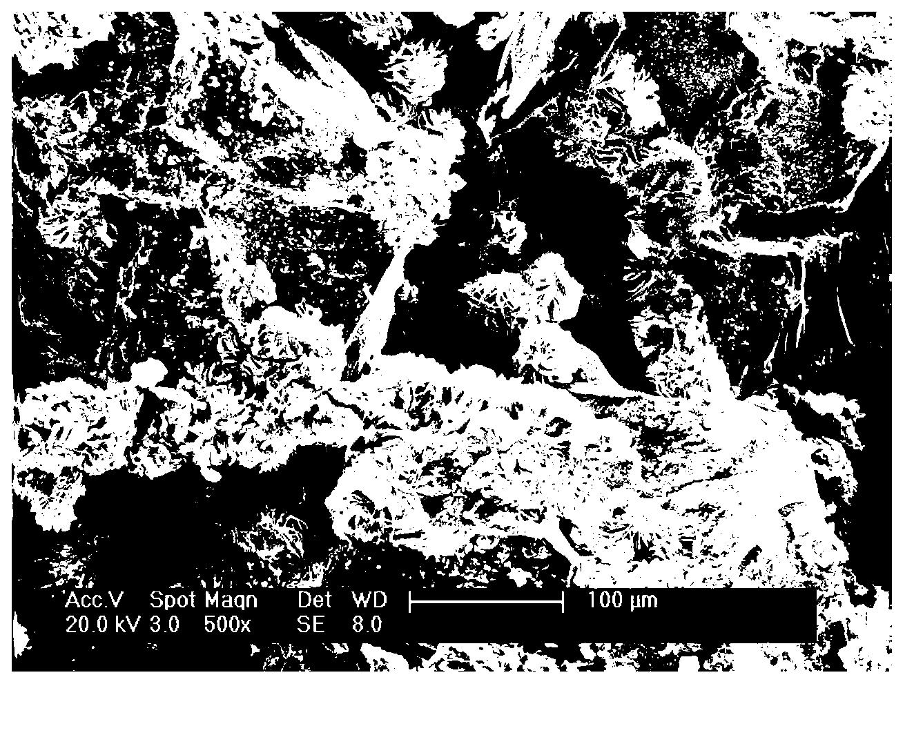 Method utilizing phosphate mineralized bacteria to solidify and loosen loose sand particles