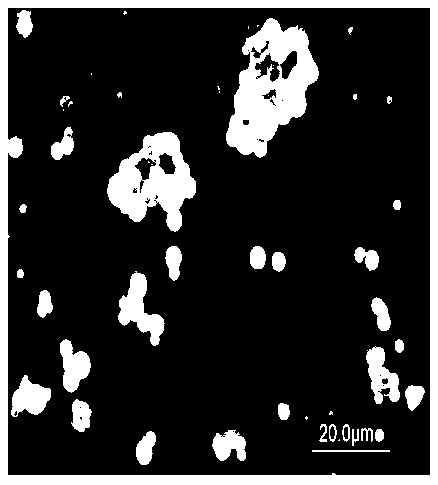 Fog seal modified emulsified asphalt and preparation method thereof