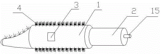 Cleaner for shoes and shoe laces