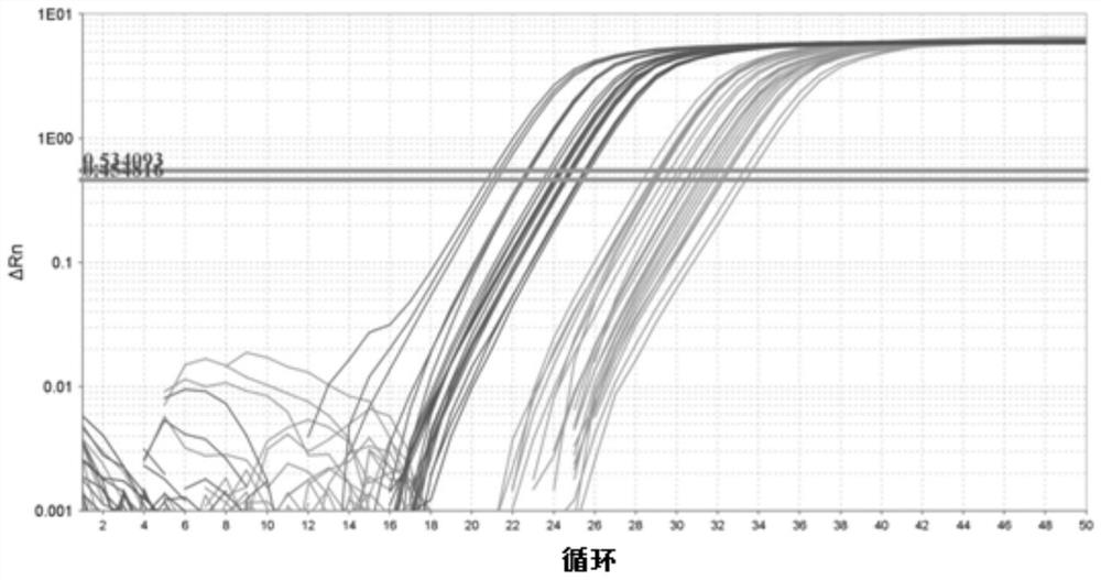 A kit for detecting the expression level of soybean circadian clock gene elf3 homologous gene