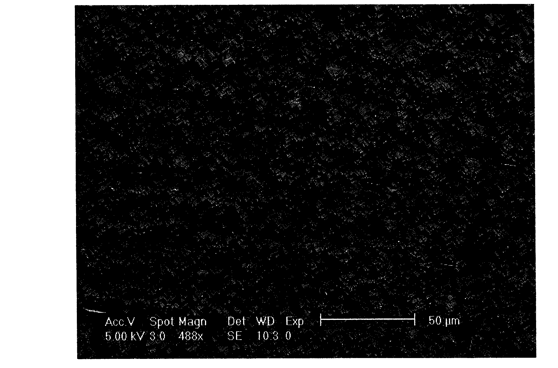 Corrosive liquid for preparing monocrystal silicon textured surface and method thereof