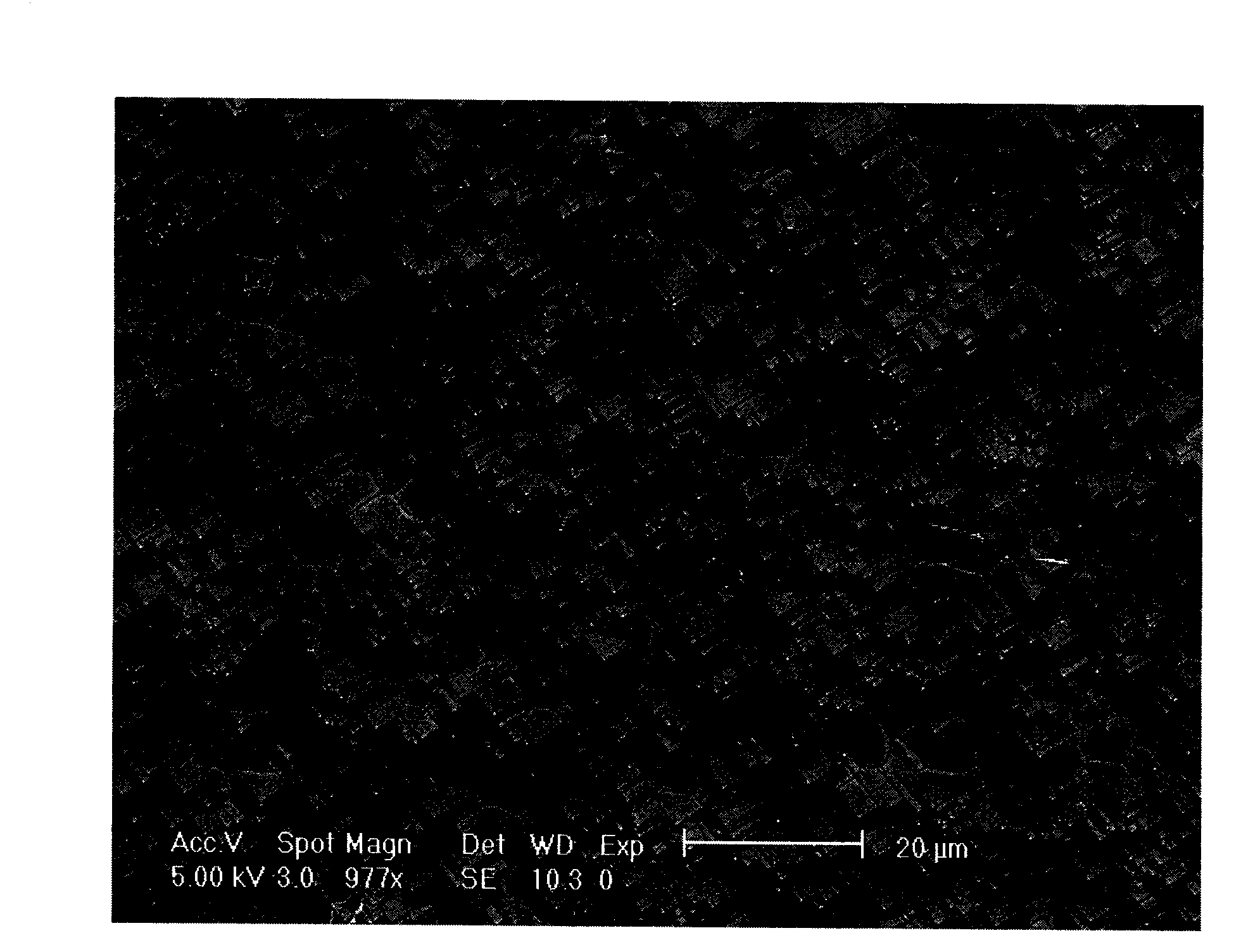 Corrosive liquid for preparing monocrystal silicon textured surface and method thereof