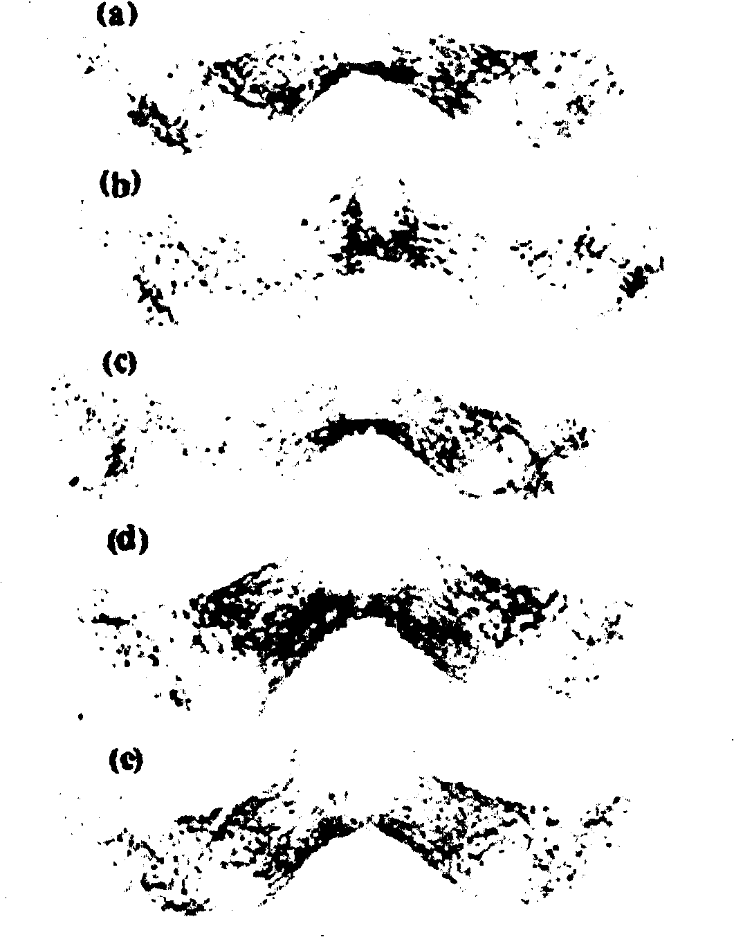 Use of AR-A014418 in preparing medicine for preventing and treating nerve degenerative diseases