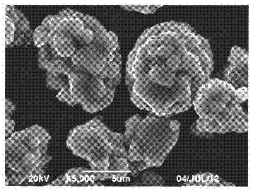 Lithium ion battery nickel-cobalt-manganese ternary composite anode material and method for preparing precursor thereof