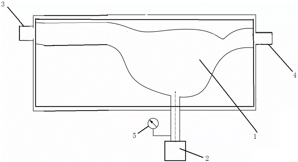 Upper alimentary canal endoscopy lower peeling operation training model