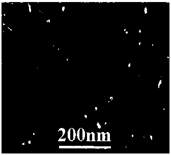 Efficient cobalt diselenide/cobalt tungstate composite electrocatalyst and preparation method thereof