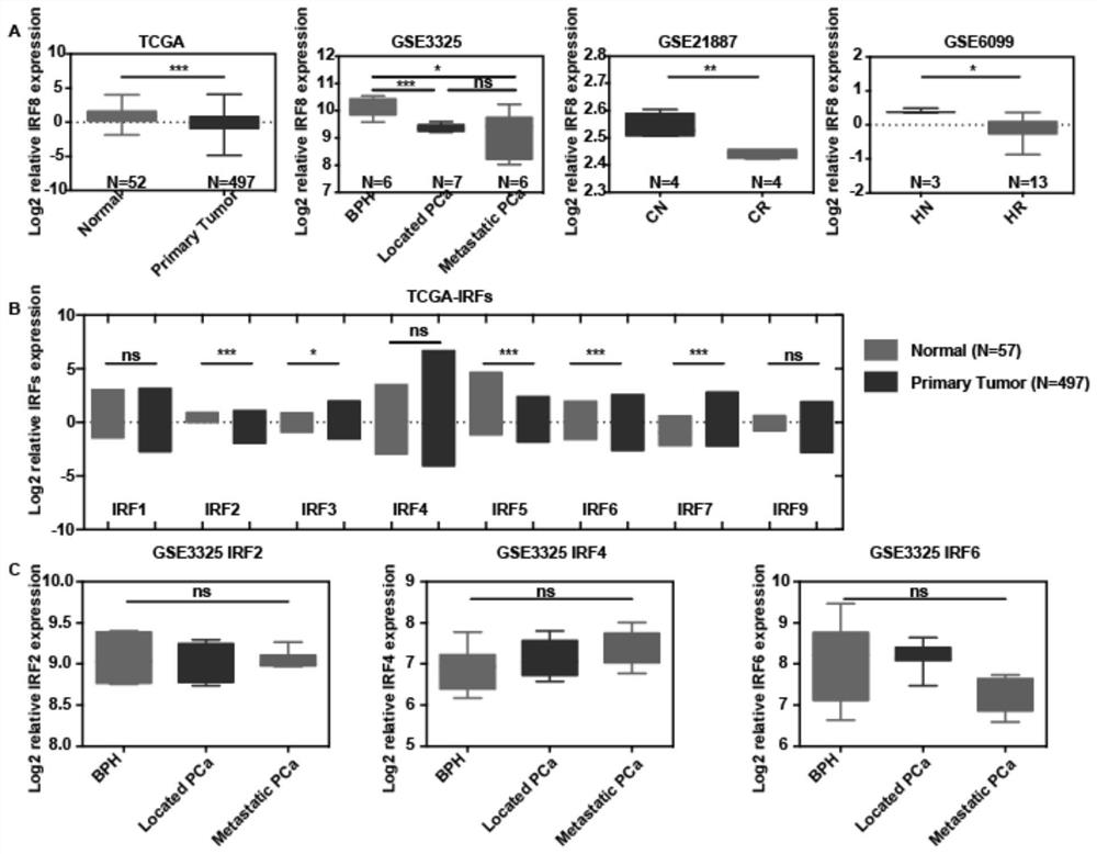 Application of substances that induce irf8 expression in the preparation of drugs for treating liver cancer