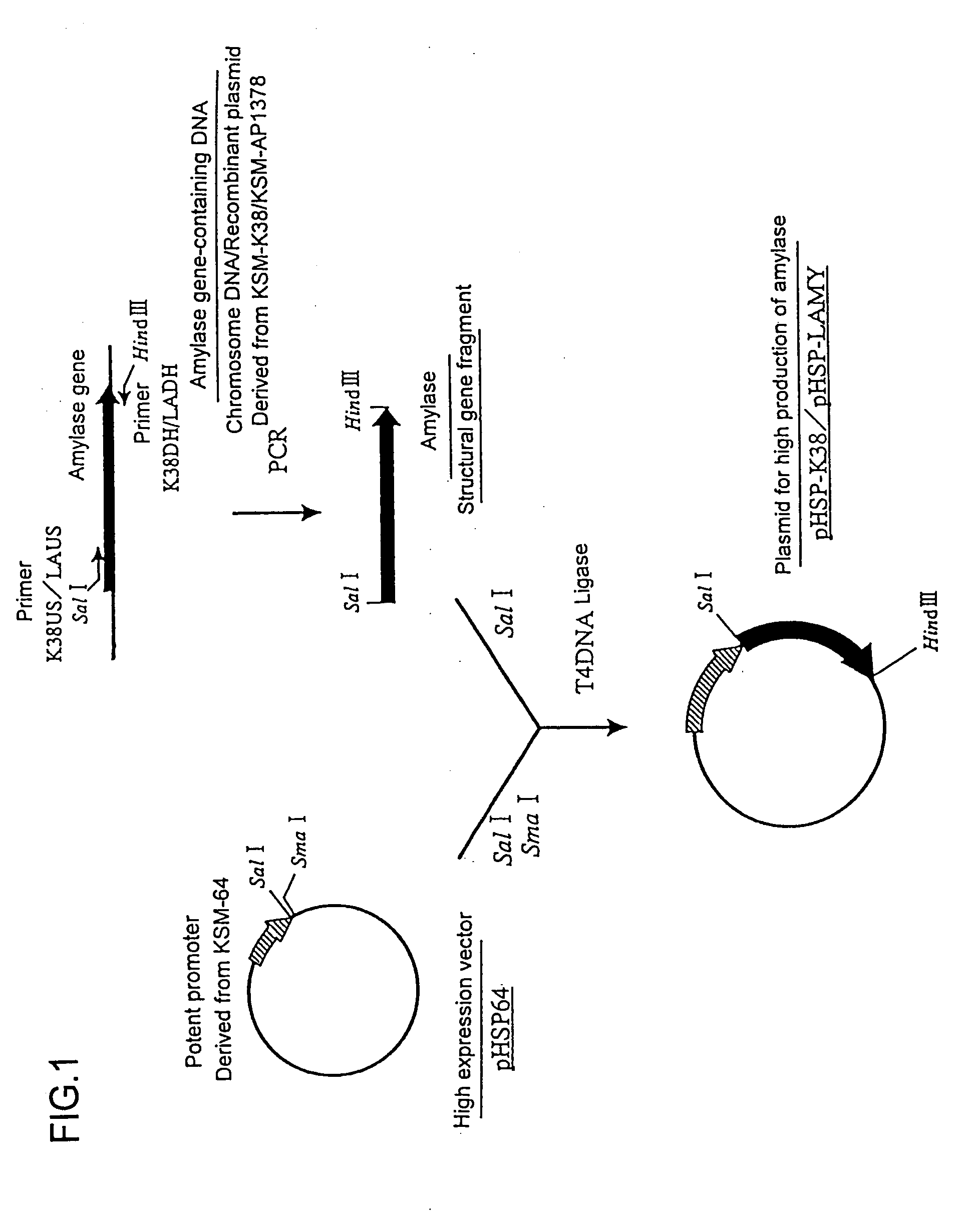 Mutant alpha-amylases