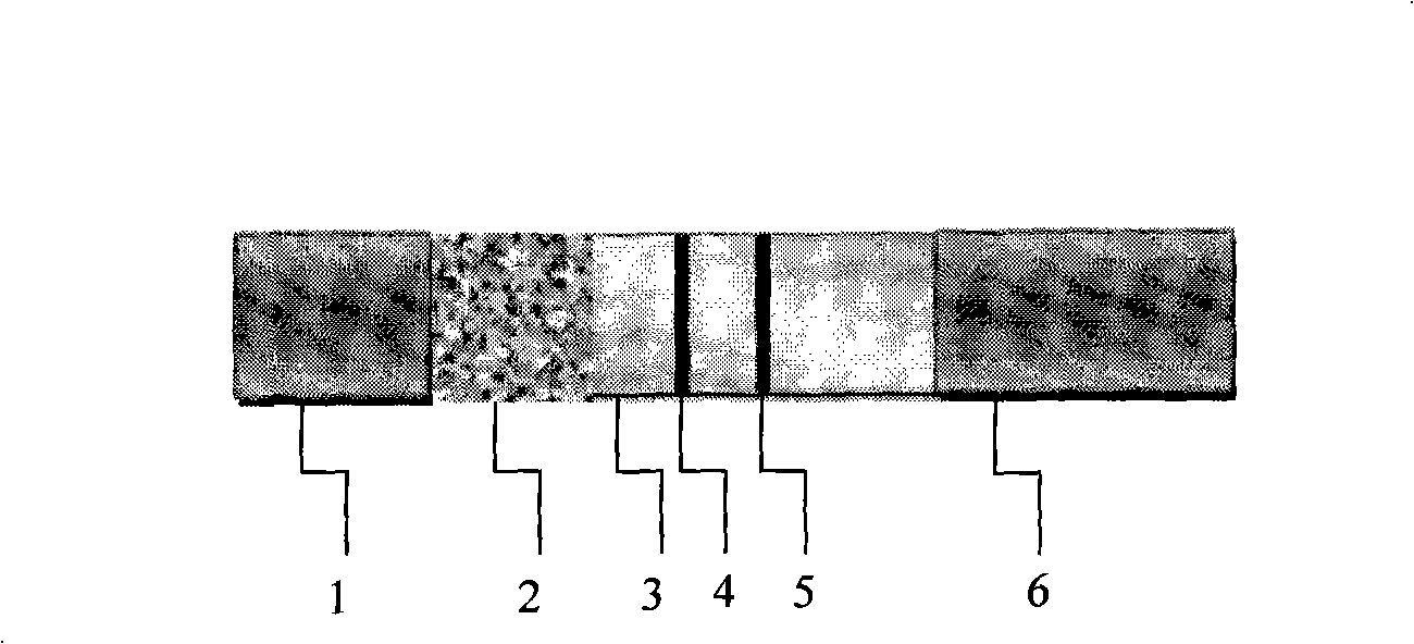 Sudan red 1 immunity-chromatography test paper detection method