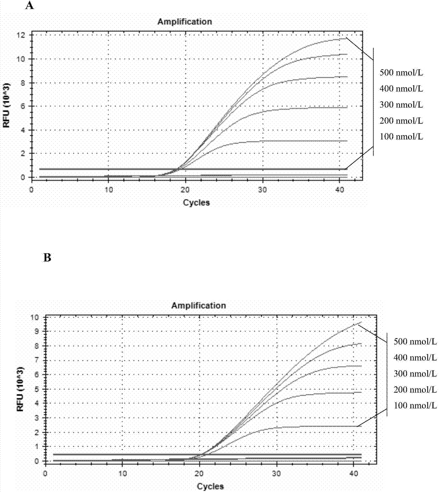 Method for applying dual high-resolution melting curve technology to detect Bartonella