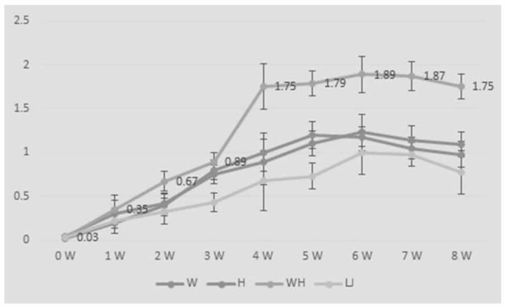 Preparation method using bacterial lysate as inactivated vaccine adjuvant