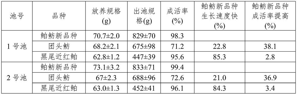 Selective breeding method for distant hybridization offspring between megalobrama amblycephala and ancherythroculter nigrocauda