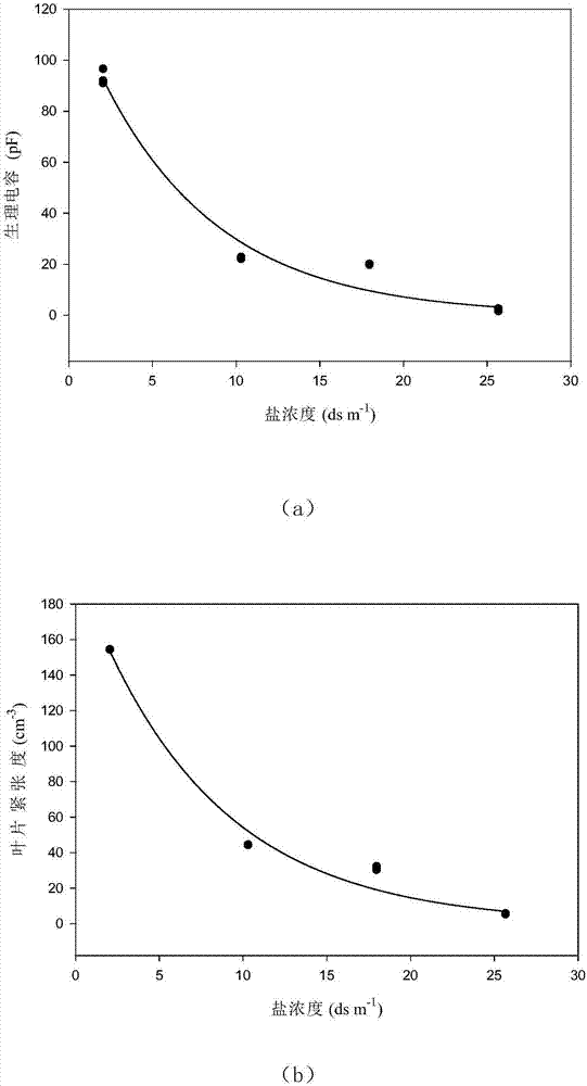 Method for measuring maximum physiological capacitance and maximum tensity of plant leaf