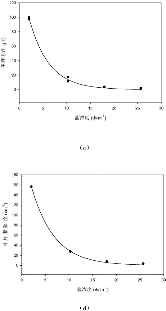 Method for measuring maximum physiological capacitance and maximum tensity of plant leaf