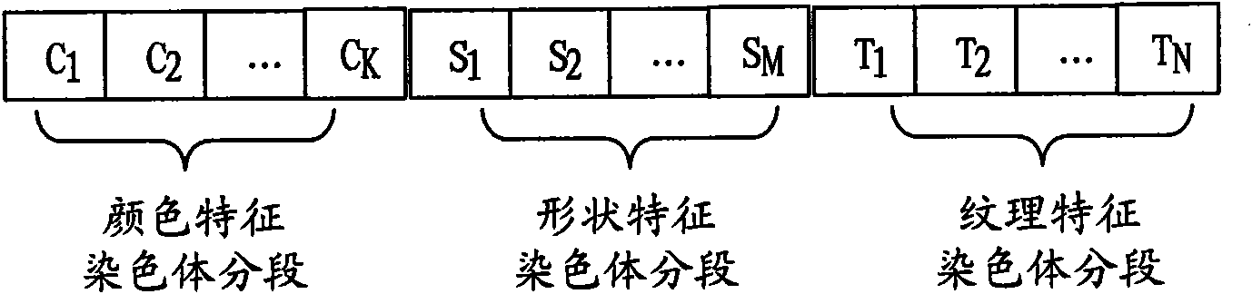 Method and system for selecting feature of cotton heterosexual fiber target image