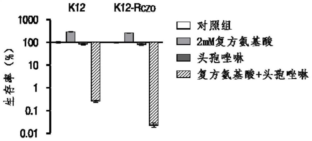 Application of compound amino acid in preparation of medicine for improving sensitivity of bacteria to antibiotics