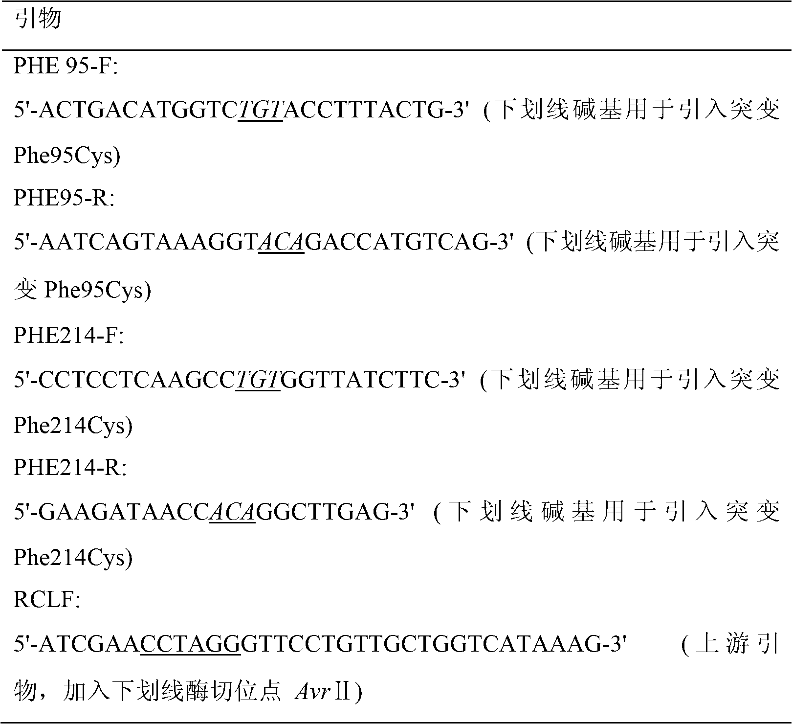 Disulfide bond reinforced folding based lipase mutant with high heat stability and construction method thereof