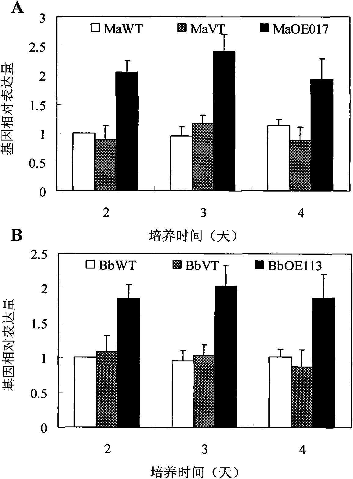 Entomopathogenic fungi acidic trehalase transgenic strain, preparation method and use thereof