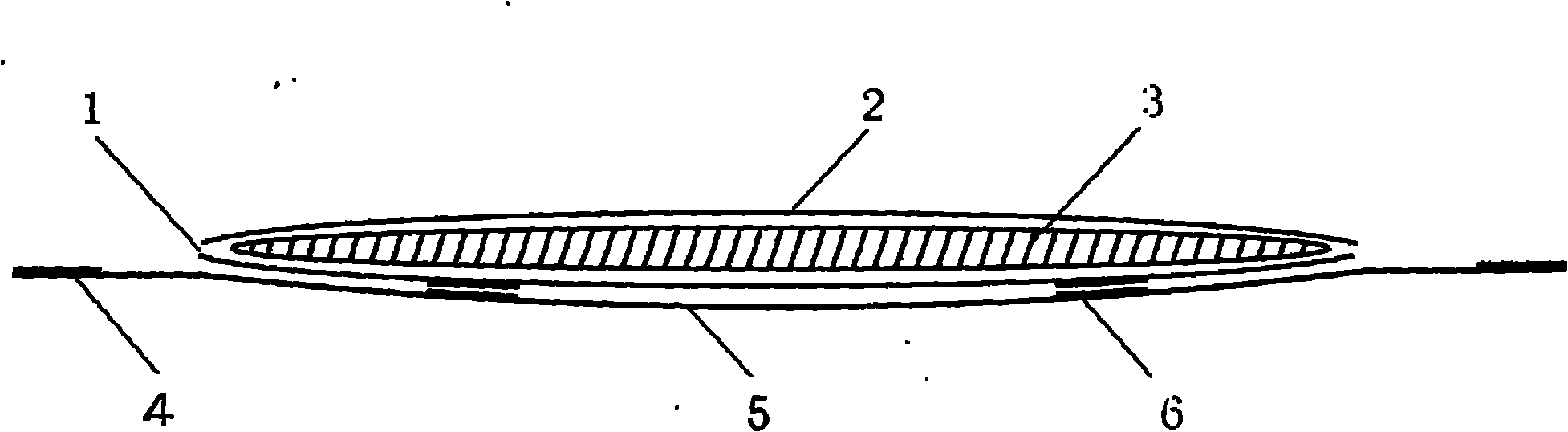 Paper diaper with replaceable absorptive core