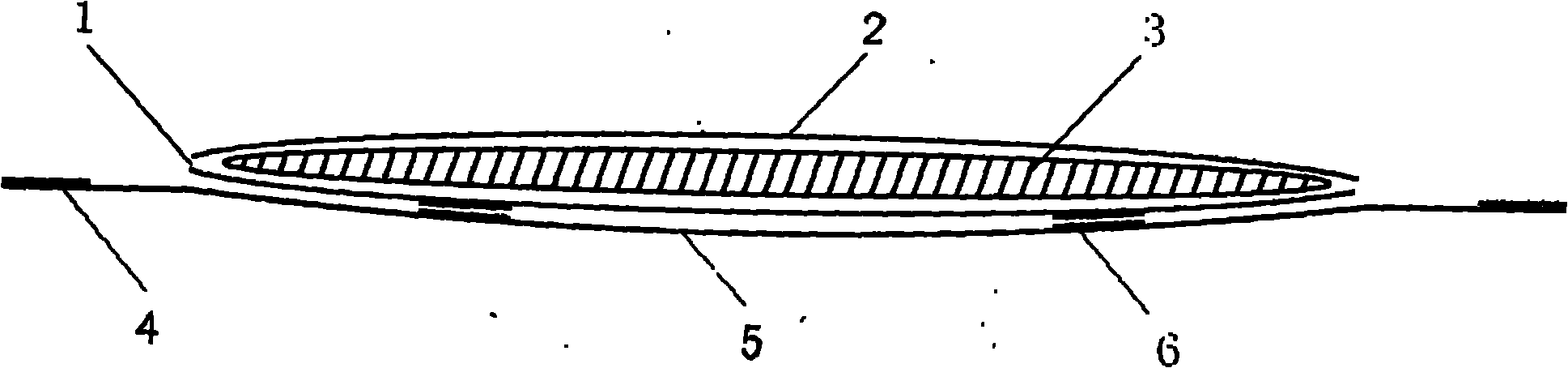 Paper diaper with replaceable absorptive core