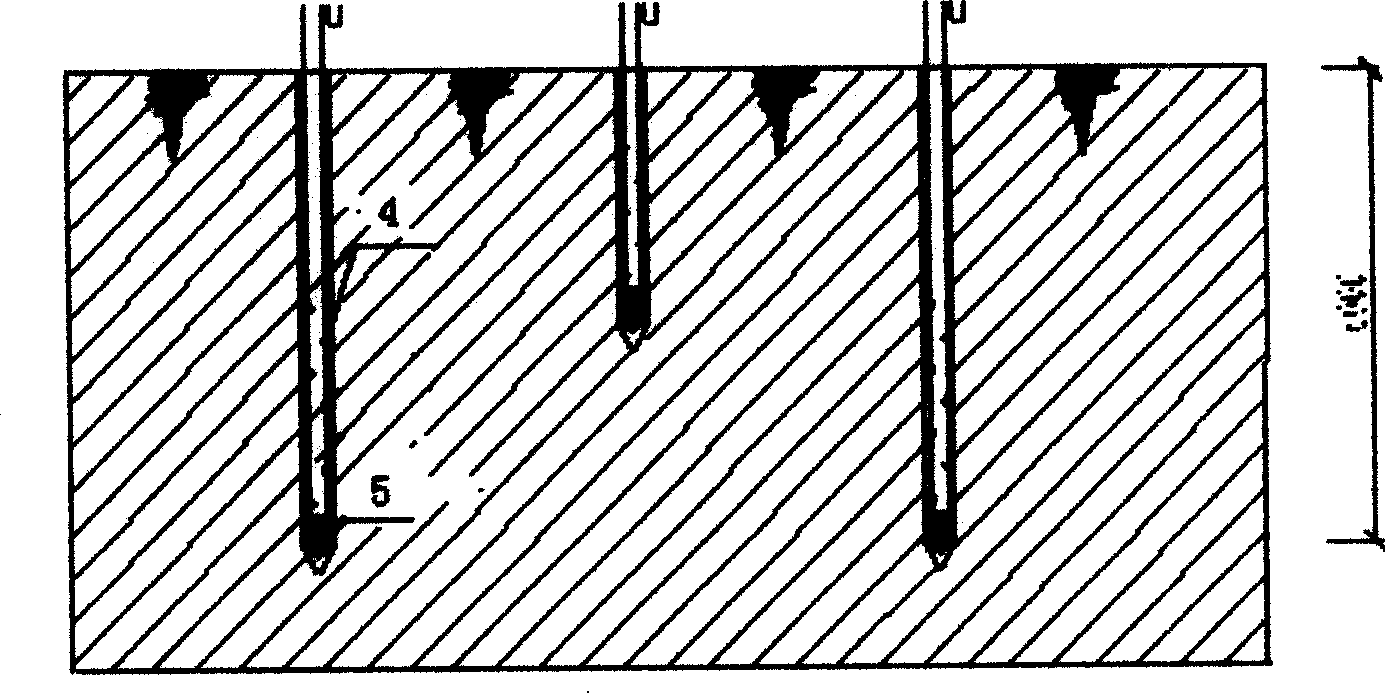 Method for harnessing chemical production thiamine crystallization tank region local geological foundation pollution