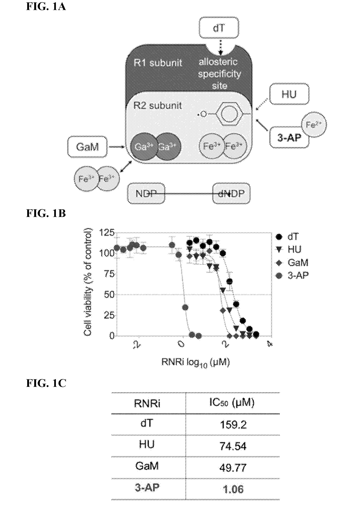 Combination cancer therapy