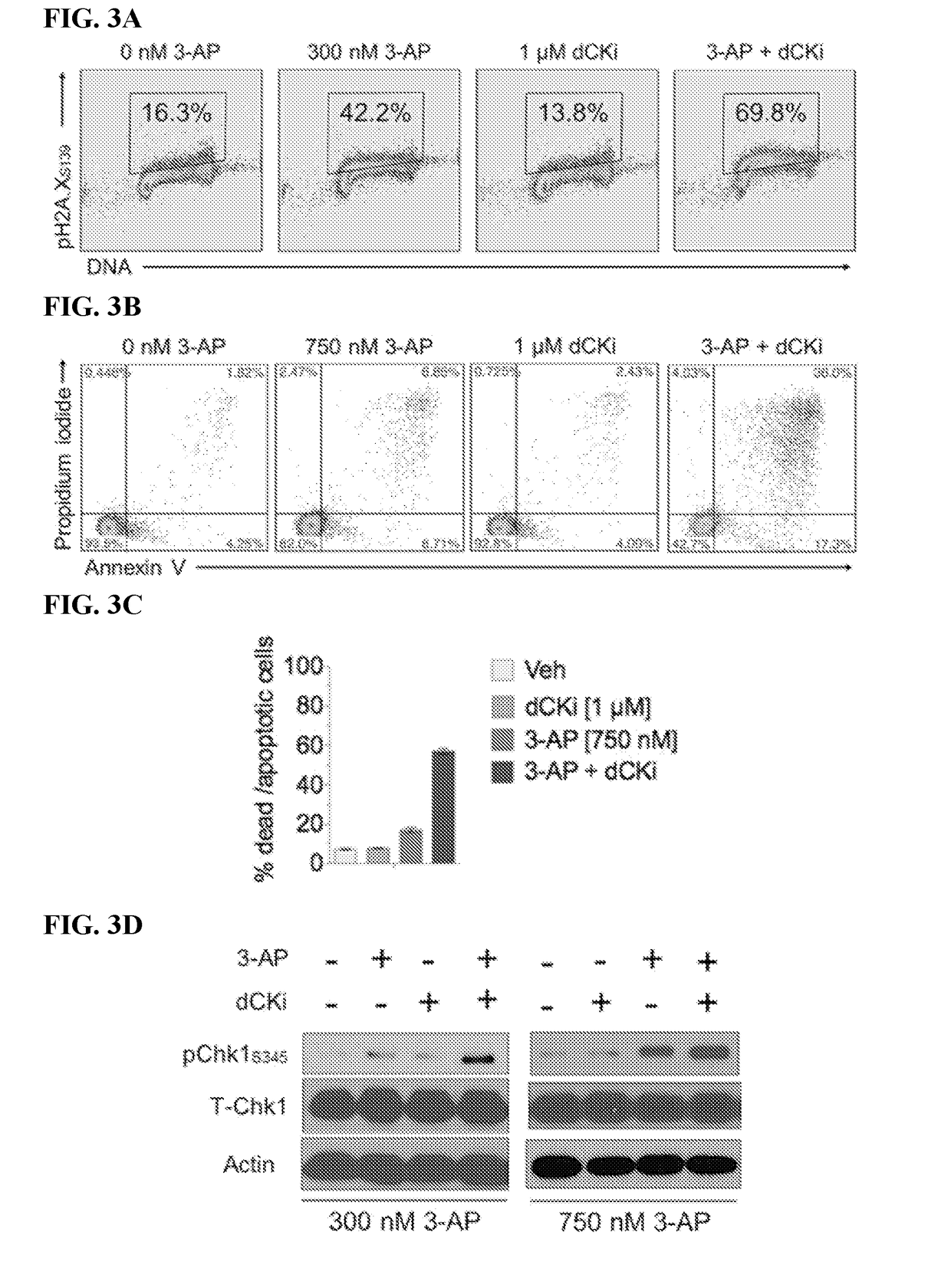 Combination cancer therapy