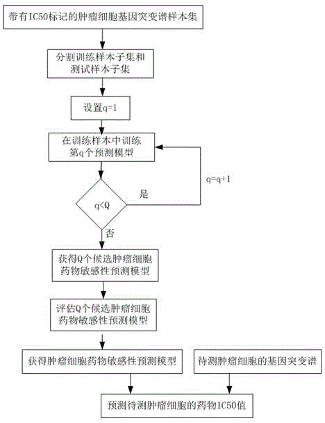 Genetic material specificity based tumor cell drug sensitivity evaluation method