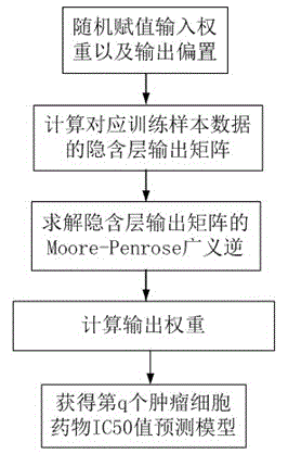 Genetic material specificity based tumor cell drug sensitivity evaluation method