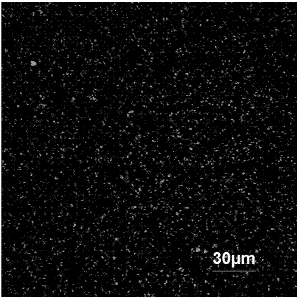 Preparation for cell imaging and preparation method and applications thereof