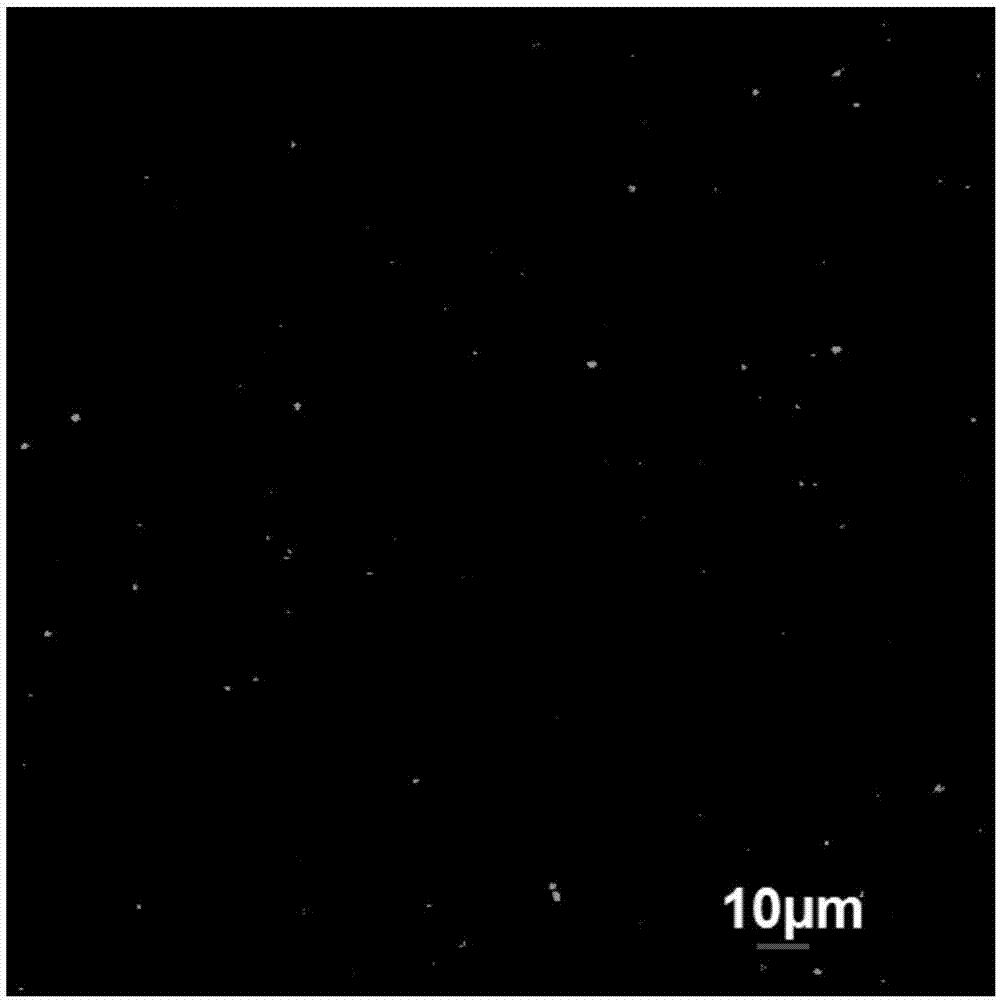 Preparation for cell imaging and preparation method and applications thereof